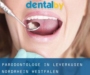 Parodontologe in Leverkusen (Nordrhein-Westfalen)
