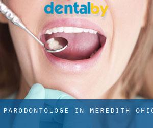 Parodontologe in Meredith (Ohio)