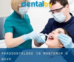 Parodontologe in Montemor-O-Novo