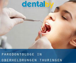 Parodontologe in Oberheldrungen (Thüringen)