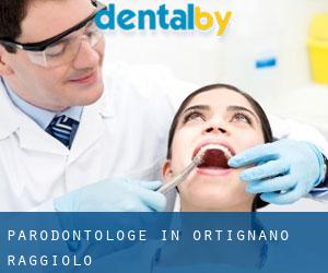Parodontologe in Ortignano Raggiolo