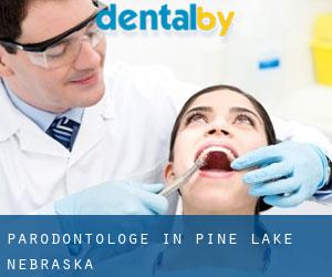 Parodontologe in Pine Lake (Nebraska)
