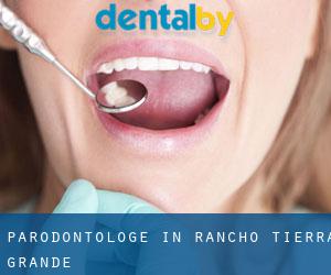 Parodontologe in Rancho Tierra Grande