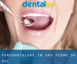 Parodontologe in São Pedro do Sul