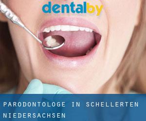 Parodontologe in Schellerten (Niedersachsen)