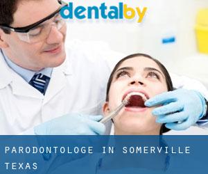 Parodontologe in Somerville (Texas)