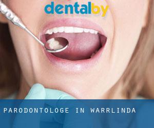 Parodontologe in Warrlinda
