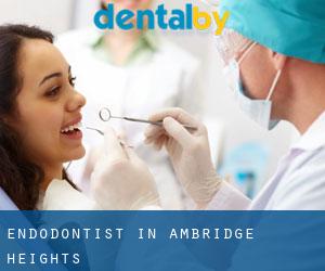 Endodontist in Ambridge Heights
