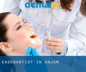 Endodontist in Anjum