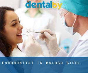 Endodontist in Balogo (Bicol)