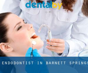 Endodontist in Barnett Springs