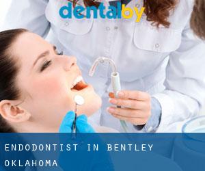 Endodontist in Bentley (Oklahoma)