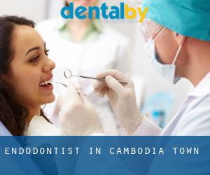 Endodontist in Cambodia Town