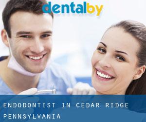 Endodontist in Cedar Ridge (Pennsylvania)