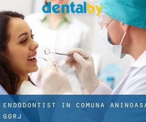 Endodontist in Comuna Aninoasa (Gorj)