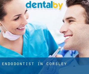 Endodontist in Corsley