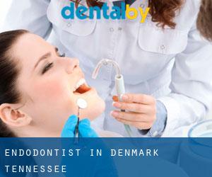 Endodontist in Denmark (Tennessee)