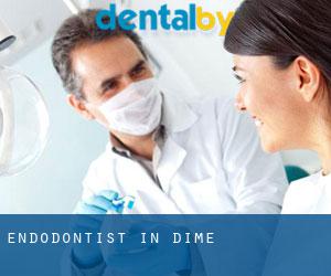 Endodontist in Dime