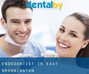Endodontist in East Brownington
