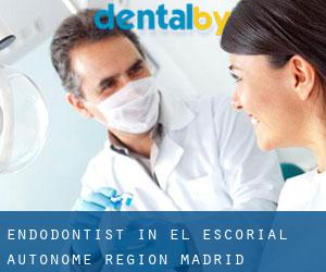 Endodontist in El Escorial (Autonome Region Madrid)
