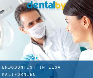 Endodontist in Elsa (Kalifornien)