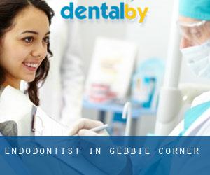 Endodontist in Gebbie Corner