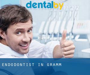 Endodontist in Gramm