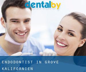 Endodontist in Grove (Kalifornien)