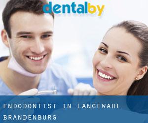 Endodontist in Langewahl (Brandenburg)