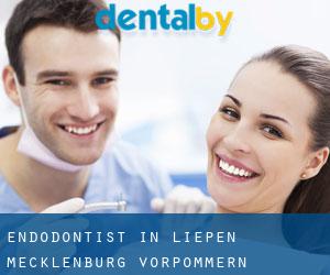 Endodontist in Liepen (Mecklenburg-Vorpommern)