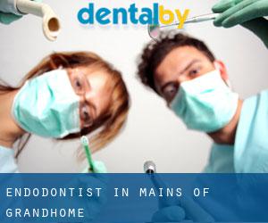 Endodontist in Mains of Grandhome