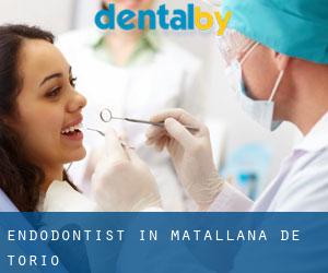 Endodontist in Matallana de Torío