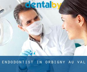 Endodontist in Orbigny-au-Val