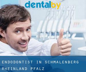 Endodontist in Schmalenberg (Rheinland-Pfalz)