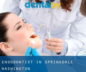 Endodontist in Springdale (Washington)