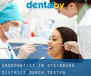 Endodontist in Steinburg District durch testen besiedelten gebiet - Seite 1