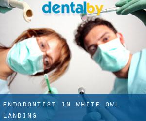 Endodontist in White Owl Landing