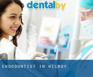 Endodontist in Wilroy