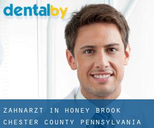 zahnarzt in Honey Brook (Chester County, Pennsylvania)